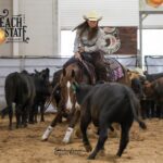 Cowgirl riding horse through a herd of cows.