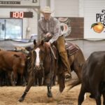 Cowboy riding horse in a cattle pen.